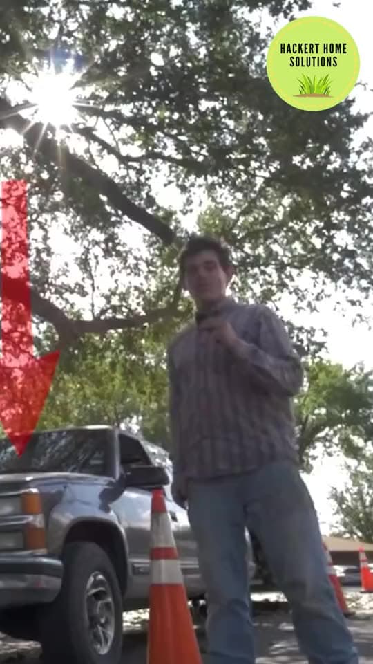 Home services reel of a tree being dropped safely