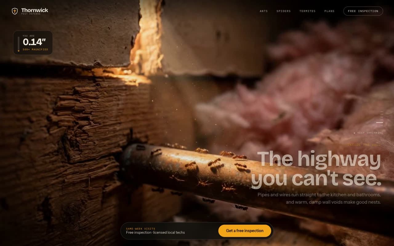 Thornwick Pest Defense website (Pest control)