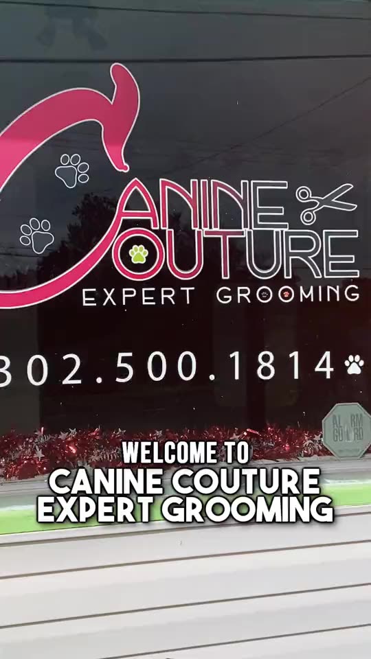 Canine Grooming